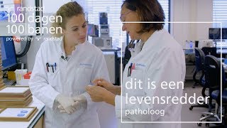 Werken als klinisch patholoog voor een dag  Randstad  Dag 94 [upl. by Itoc]