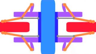 The Spindle Assembly Checkpoint [upl. by Alamak546]