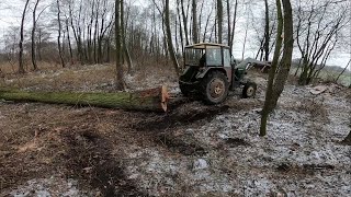 Zerwana linka  Wyciąganie drzewa  Zgubiłem kamerę 😮  Porządki na nieużytkach [upl. by Enatan749]