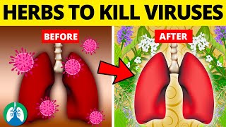 Top 10 Herbs for Lung Health Clearing Mucus COPD and Killing Viruses [upl. by Ardnasyl]