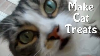 How To Make Cat Treats  Easy Homemade Recipe [upl. by Annovy]