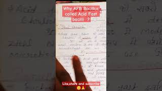 AFB Staining AFB Bacilli ko acid fast kyu bolte haimedical microbiology biology viralshort [upl. by Inar837]