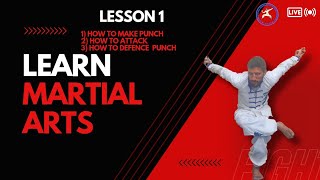 wushu training for beginners [upl. by Mikiso]