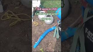 Corteva tracer green using in chiili 3rd spray gsiva farming [upl. by Lai842]