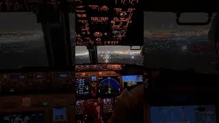 Boeing 737 Landing  B737 Max Cockpit Landing Miami [upl. by Aicekan]