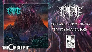 APOGEAN  Into Madness FULL EP STREAM Technical Death Metal  The Circle Pit [upl. by Alonzo]