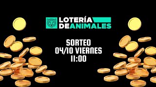 SORTEO 041024 VIERNES  1100 [upl. by Molini]