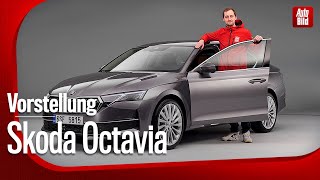 Skoda Octavia Facelift 2024  Er wird jetzt noch intelligenter  Vorstellung mit Sebastian Friemel [upl. by Jaret658]