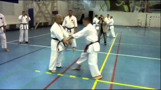 bunkai kata Shisochin performed by Sensei Kuramoto [upl. by Anirbes]