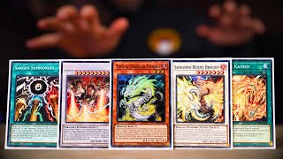 The POWER OF TENPAI Is INSANE Tenpai COMBOS amp Deck Profile  POST LEDE YuGiOh 2024 [upl. by Daus]