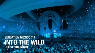 Bud Light Sensation ‘Into The Wild’ Mexico 2014 Aftermovie [upl. by Salema]