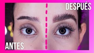 CEJAS PERFECTAS Y NATURALES ✅💁‍♀️ Tendencia 2019 [upl. by Cam965]