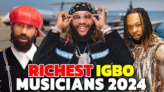 Top Richest Igbo Musicians 2024 amp Their Networth [upl. by Shih]