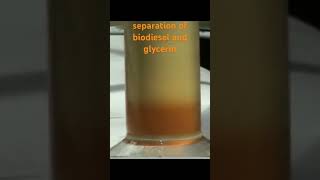 Separation of biodiesel and glycerin glycerol Transesterification on a reactor from globecore [upl. by Denny]