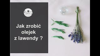 Jak zrobić olejek lawendowy Olejek zapachowy z lawendy Krok po kroku [upl. by Ylam710]