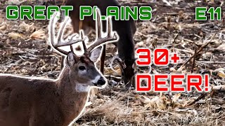 Two Stud Missouri Whitetails Hot Late Season Action deerhunting hunting [upl. by Jaban]