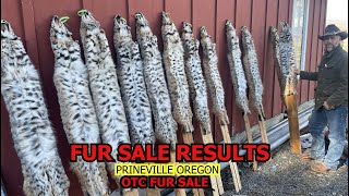 FUR SALE RESULTS HIGH PRICED BOBCATS  a few channel updates amp trapline footage [upl. by Attesoj]