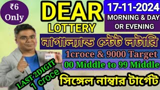 17112024 morning 6pm 8pm Target Number NagalandLottery Sambad LiveLottery Target Number [upl. by Apollus527]