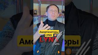 Амортизаторы от LYNX AUTO плохо или нет амортизаторы lynx lynxauto вдеталяходеталях [upl. by Akeim]