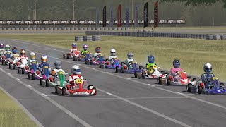 AEKC Euro Series RD2 Kart Racing Pro [upl. by Ebneter]