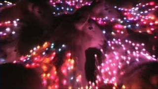 Extreme Sheep LED Art HD Malaysia [upl. by Donahoe]