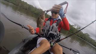 EP 2  Double Hookup Fishing  Coochin Creek Part 1  Bream Cod Mangrove Jack [upl. by Aleksandr885]