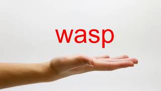 How to Pronounce wasp  American English [upl. by Lamond426]