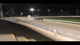 Mildura Harness Racing Club 18 Sep 2023 Trial 5 [upl. by Ennirroc]