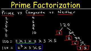 Prime Factorization Explained [upl. by Ron]