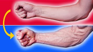 How to Get Bigger More Vascular Forearms 30 DAYS [upl. by Woodberry778]