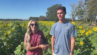 Celebrating Sunflowers with Parker Flower Farms [upl. by Houser]