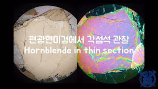 편광현미경 각섬석 관찰 Amphibolite in thin section 개방직교니콜에서 조암광물 광학적 특징 characteristics in PPLXPL [upl. by Uttasta388]