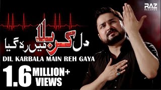 DIL KARBALA MAIN REH GAYA  New HD Noha 2018 20191440  Syed Raza Abbas Zaidi Nohay 2019 [upl. by Lednahc]