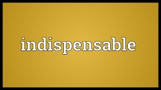 Indispensable Meaning [upl. by Itsirhc610]