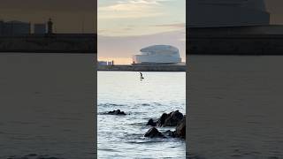 EFoil 4K Matosinhos Sunset matinhosbeach beach travel [upl. by Lehcer]