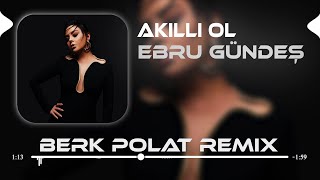 Ebru Gündeş  Akıllı Ol  Berk Polat Remix   Akıllı Ol Senin Aklını Alırım [upl. by Agata]