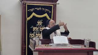 Hashanah Rabah Otzar Hatora Daily Halacha October 22 2024 [upl. by Garald87]