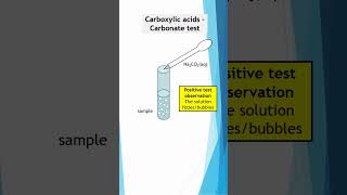 How to identify Carboxylic Acids  The Carbonate Test chemistryrevision organicchemistry study [upl. by Yeldnarb191]