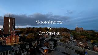 Moonshadow by Cat Stevens [upl. by Mcquade]