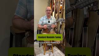 How to tune your mandolin to standard tuning mandolin mandolininstrument mandolintuning [upl. by Cate320]