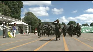 Comemoração do Dia Infantaria em Brasília [upl. by Nylegna803]