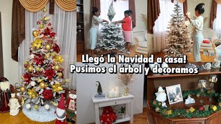 PUSIMOS EL ÁRBOL DE NAVIDAD🎄 DECORAMOS🎅 ASÍ HA QUEDADO ESTE AÑO❤️ 15 AÑOS EN RUSIA  14 Nov 2023 [upl. by Aidole]