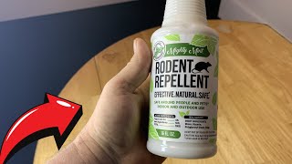 Mighty Mint 16oz Peppermint Oil Rodent Repellent Spray Review [upl. by Sulihpoeht]