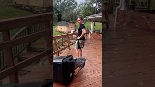 Dogs dont like thunder cat fuunypets funnycats funny funypets catvideos cats pets [upl. by Neo]