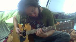 Troops of Doom by Sepultura Cover on the acoustic guitar [upl. by Colombi]