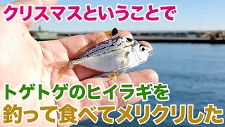 トゲトゲヌルヌル嫌われ外道、でも超うまい「ヒイラギ」釣って食べる [upl. by Samalla]