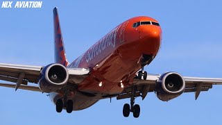 BOEING 737800 LANDING  TUPELO  Sun Country Airlines  Plane Spotting [upl. by Hanford]