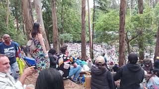 Commodores Concert at Stern Grove Part 10 quotLadyquot San Francisco July 14 2024 [upl. by Aneloj]