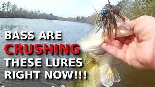 October Lures Bass CANT RESIST [upl. by Neerahs]