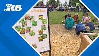 Seattle Seahawks spruce up Federal Way elementary school [upl. by Sualokcin]